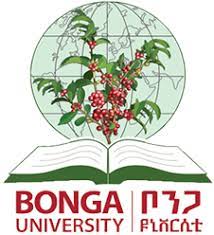 Bonga University Logo
